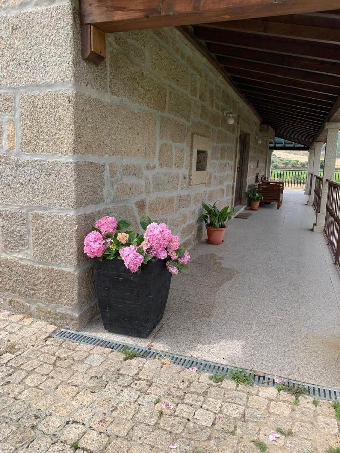 Vila Quinta Do Palame Vila Flor Exteriér fotografie