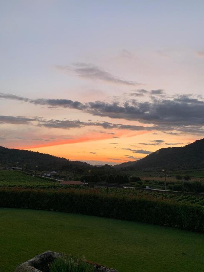 Vila Quinta Do Palame Vila Flor Exteriér fotografie